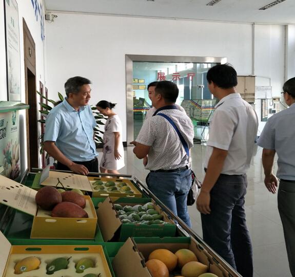 我院助力百色市創(chuàng)建國家級高新區(qū)