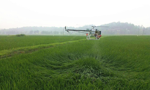 京津冀共建80個(gè)綠色示范基地 保障蔬菜質(zhì)量