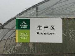 我院副院長赴平谷考察平谷農(nóng)業(yè)科技區(qū)建設情況