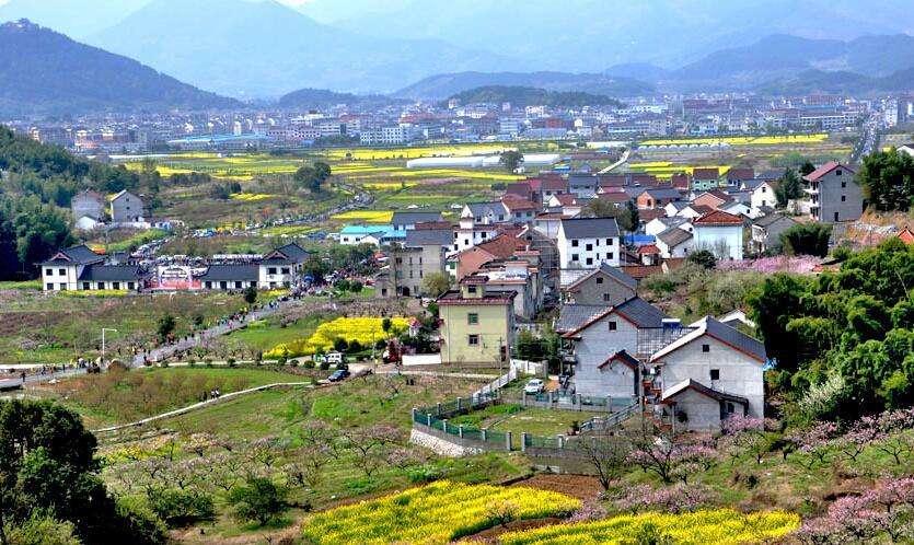 陳文勝：鄉(xiāng)村振興的資本、土地與制度邏輯